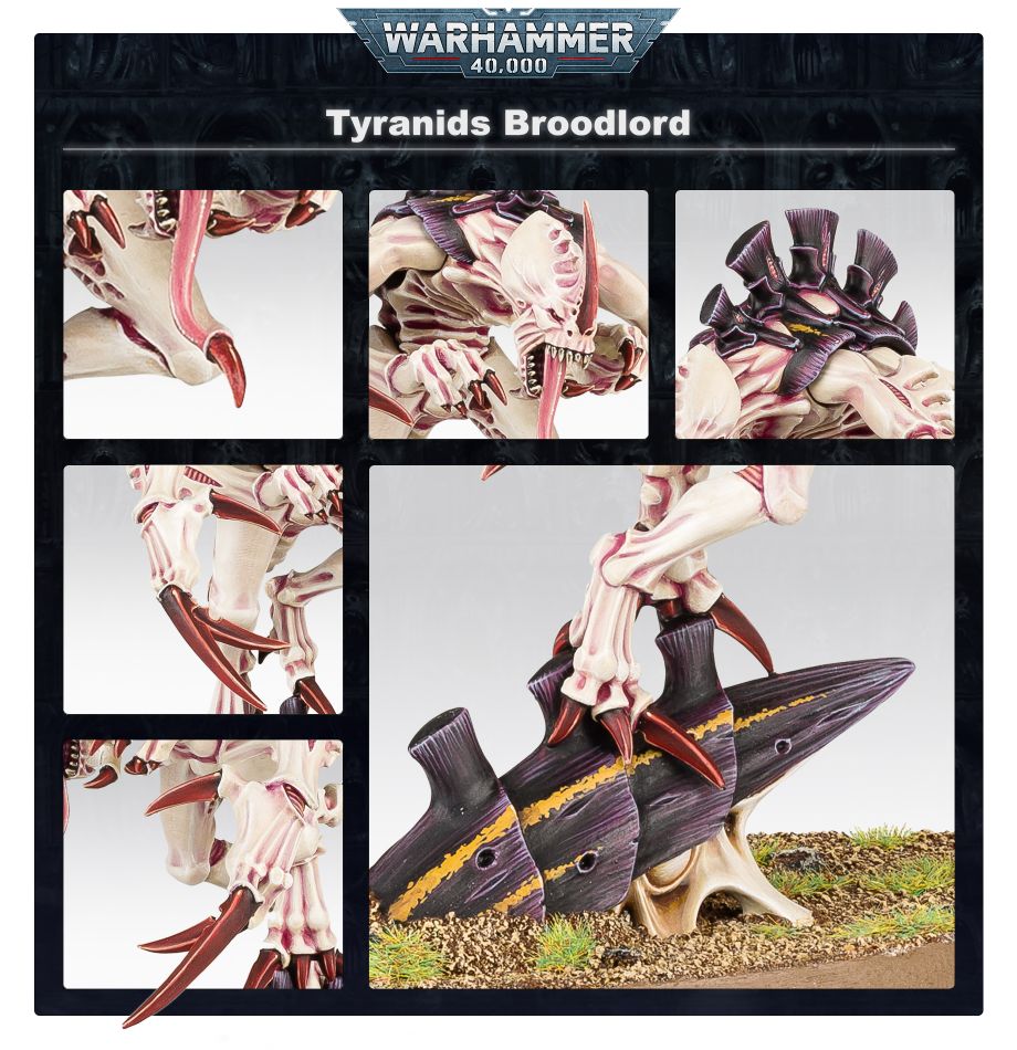 Tyranids: Broodlord - 異形蟲巢領主