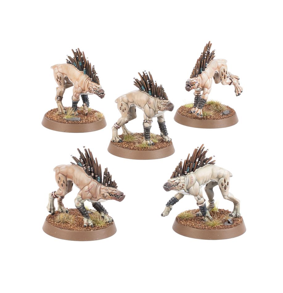 T'Au Empire: Kroot Hounds - 鈦帝國：克魯特獵犬